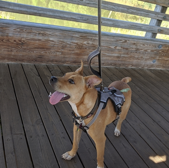 Meet your Posher, Julia - Picture 6 of 10